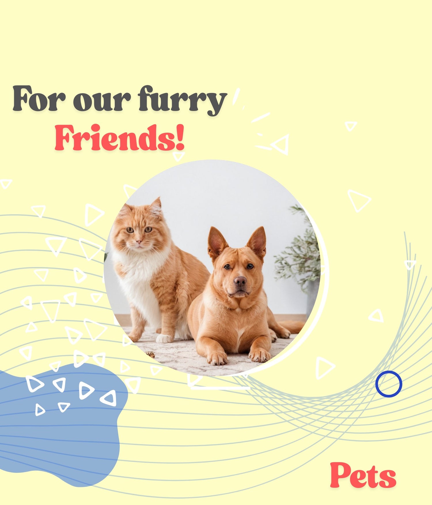 🐾 Pets